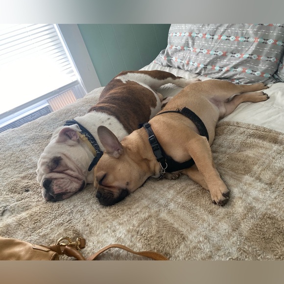 Meet your posher. 🩷💃🏻🥰 - Picture 10 of 11